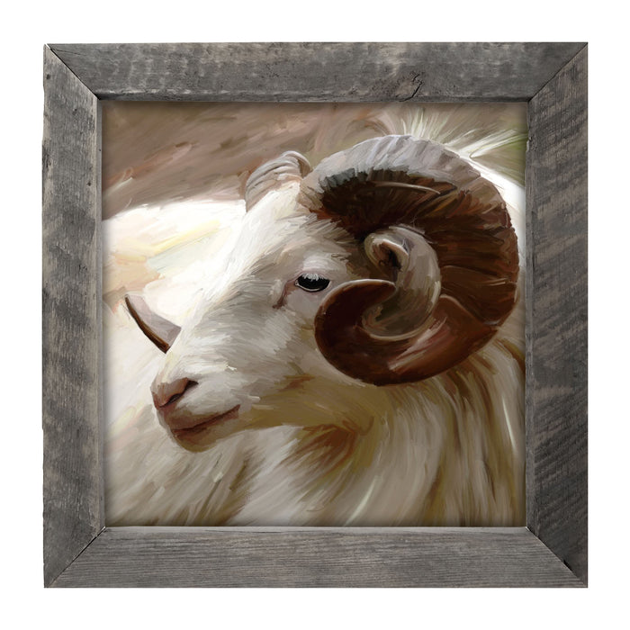 Ram - Framed art
