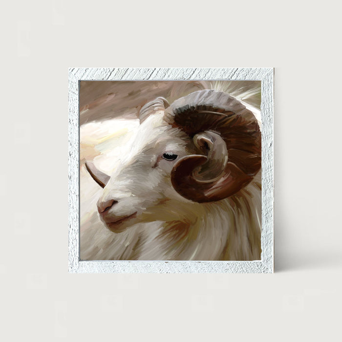 Ram - Framed art