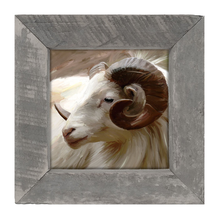 Ram - Framed art
