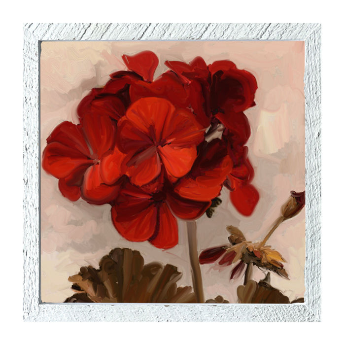 Square / XL / White