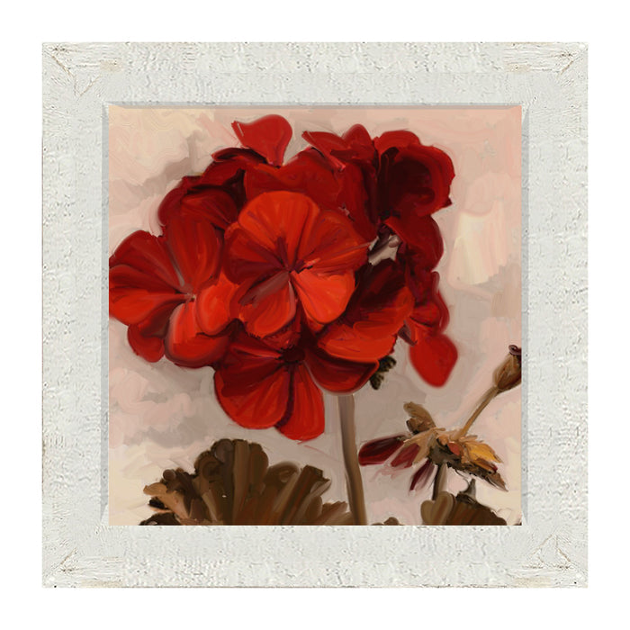 Red Geranium - Framed art