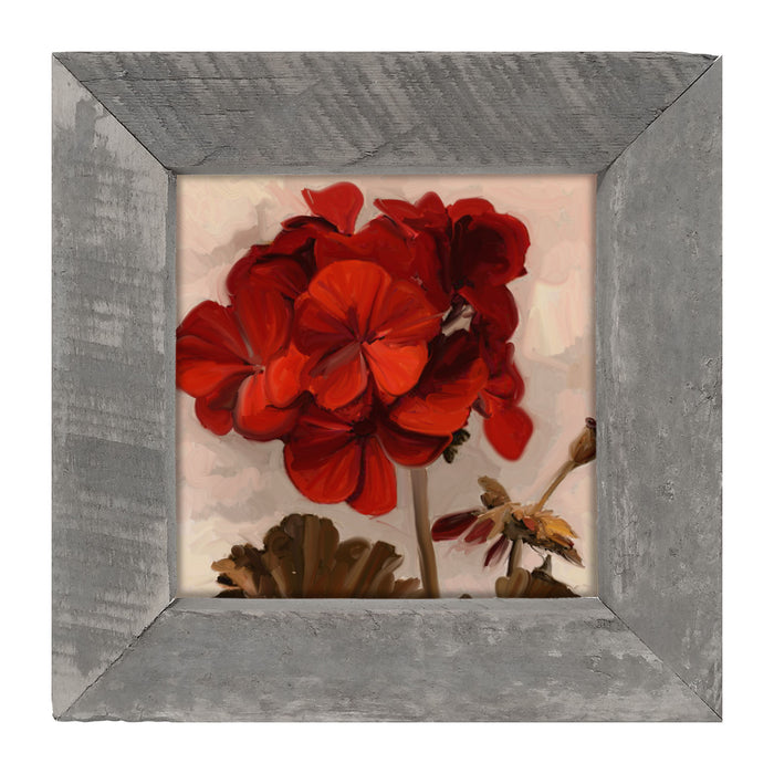 Red Geranium - Framed art