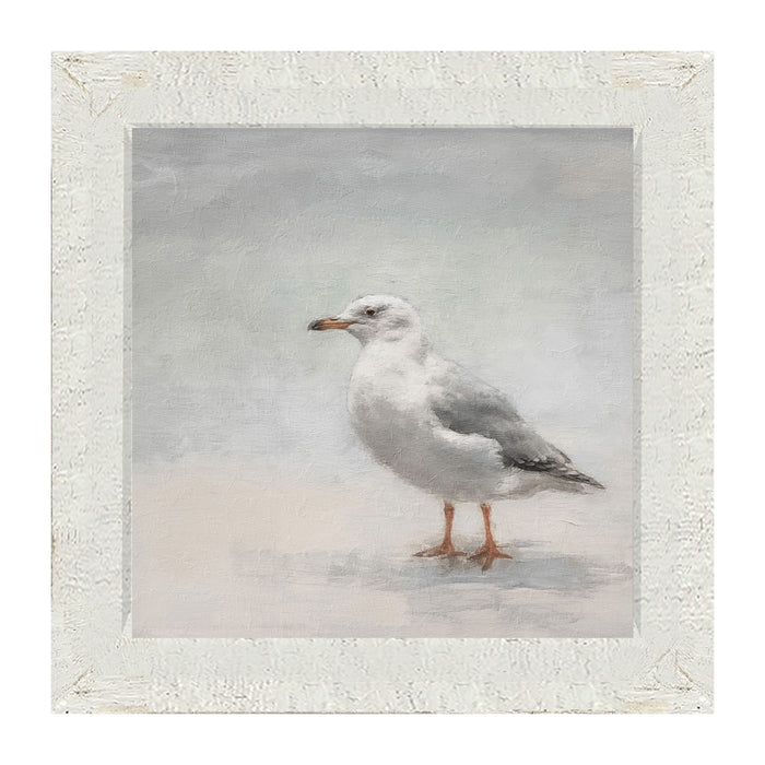 Square / Large / White