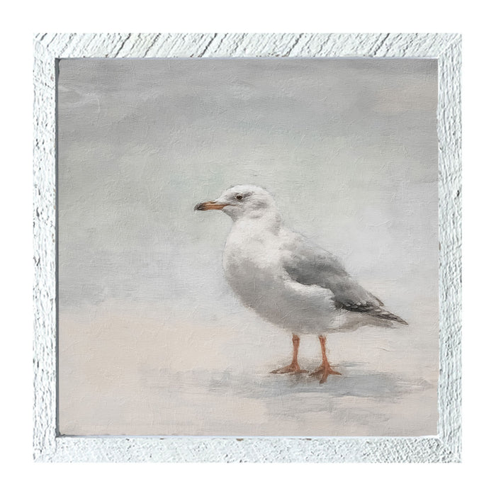 Square / XL / White
