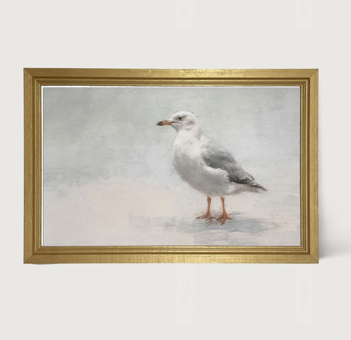 Seagull - Framed art