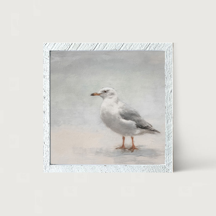 Seagull - Framed art
