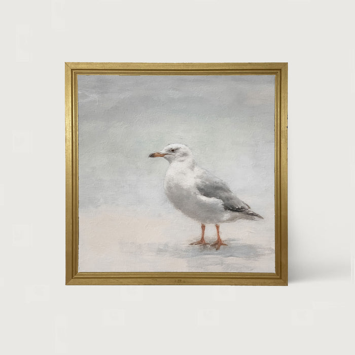 Seagull - Framed art