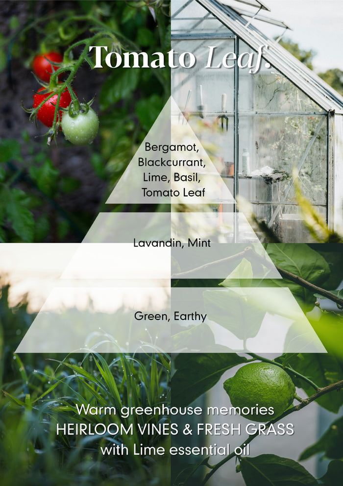 Tomato Leaf Reed Diffuser