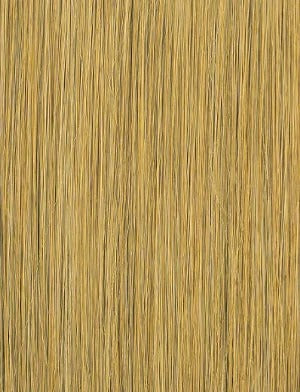 #CARAMEL BLONDE